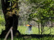 The new disc golf course at Hockinson Meadows Community Park.