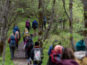 A group of Mount St. Helens Institute volunteers and U.S. Forest Service staff hike along the Hummocks Trail to Johnston Ridge Observatory to retrieve supplies Tuesday. A May 14 landslide closed Spirit Lake Memorial Highway, or state Highway 504, which is the only road to the facility, and provides stellar views of Mount St. Helens.