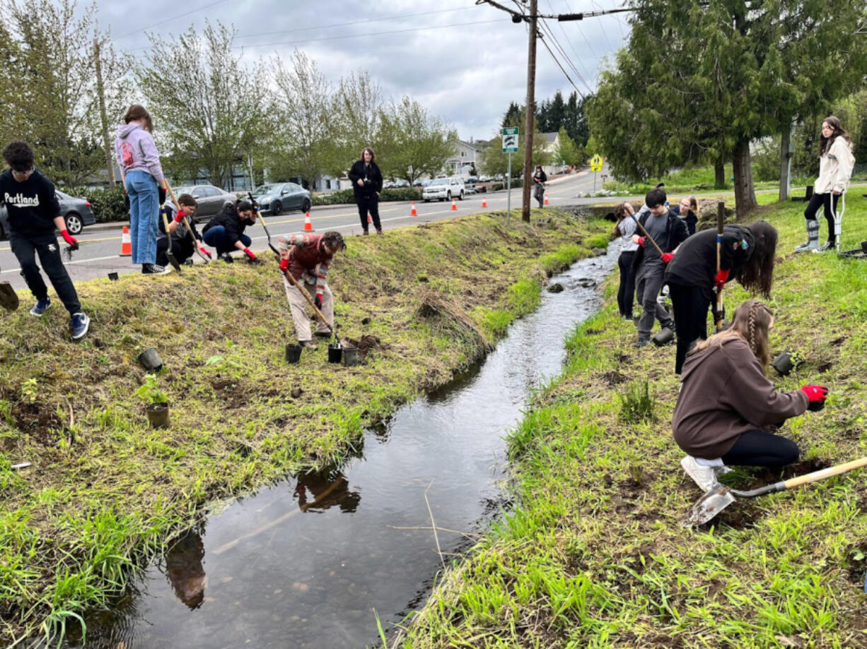 The city of Washougal joined with the Watershed Alliance of Southwest Washington and Washougal High School students May 5 to carry to plant native species along Campen Creek.