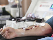 FILE - A person donates blood to the American Red Cross during a blood drive in Pottsville, Pa. on Thursday, Jan. 13, 2022. Gay and bisexual men in monogamous relationships will be able to donate blood in the U.S.