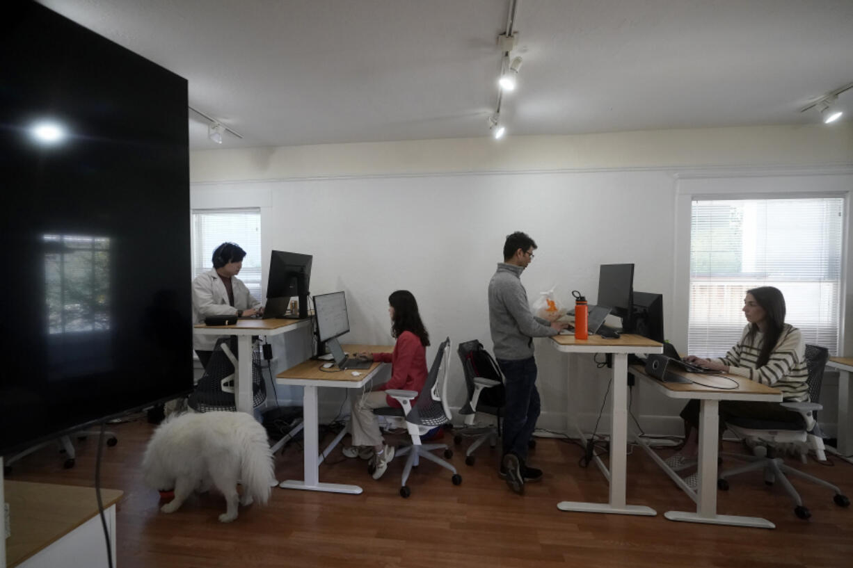 Cohere employees work at an office in Palo Alto, Calif., Wednesday, April 12, 2023. As a Google intern in 2017, Cohere co-founder and CEO Aidan Gomez co-authored a research paper that's now seen as a foundation for the current wave of artificial intelligence tools such as ChatGPT.