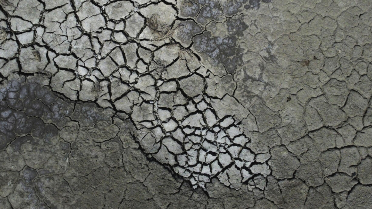 FILE - Dried cracked mud is visible at the Antelope Island Marina due to low water levels, Aug. 31, 2022, on the Great Salt Lake, near Syracuse, Utah. A new study Thursday, May 18, 2023, says climate change's hotter temperatures and society's diversion of water have been shrinking the world's lakes, including the Great Salt Lake, by trillions of gallons of water a year since the early 1990s.