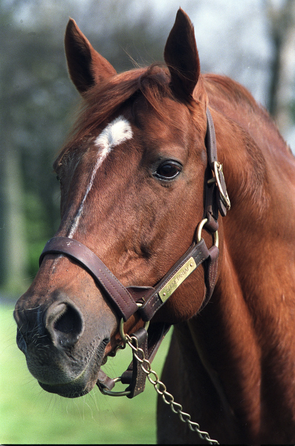 FILE- Triple Crown winner Secretariat is shown at Claiborne Farm in Paris, Ky., in April 1989. Eight of his descendants will run in the 149th Kentucky Derby on Saturday, May 6, 2023, including early 3-1 favorite Forte.