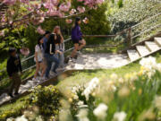 Upper Darby High School students Tanveer Kaur, from right, Joey Ngo, Fatima Afrani, Rayan Hansali, Elise Olmstead and Ata Ollah walk through the campus courtyard, Wednesday, April 12, 2023, in Drexel Hill, Pa.