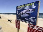 A woman walks with her dogs May 22, 2019, at Newcomb Hollow Beach in Wellfleet, Mass., where a boogie boarder was bitten by a shark in 2018 and later died of his injuries. Recent shark bites in Florida and Hawaii and a suspected case in New Jersey have piqued interest in the age-old summer question of whether it's safe to go in the water.