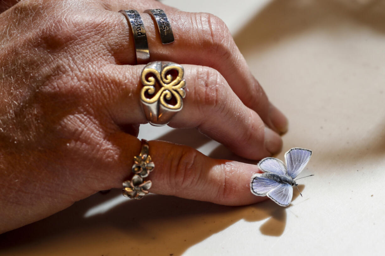 Jana Johnson coaxes a Palos Verdes blue butterfly onto her finger on March 3, 2023, in Moorpark, California. "After butterflies came into my life, I completely reinvented myself," she said.