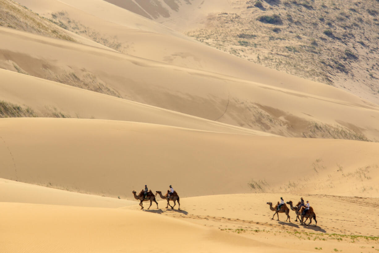 Tourists on camels in the dunes of the Gobi Desert, Mongolia. TimeOut.com put Mongolia at the top of their list of underrated, lesser-known travel destinations.