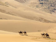 Tourists on camels in the dunes of the Gobi Desert, Mongolia. TimeOut.com put Mongolia at the top of their list of underrated, lesser-known travel destinations.