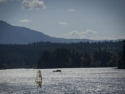 A windsurfer glides along the Columbia River near the Port of Skamania County in Stevenson on Monday August 15, 2011.
