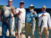 It's smiles all around for these anglers who were lucky enough to take a limit of summer Chinook while fishing with Bill Monroe Outdoors. Summer Chinook bite well when they are on the move, so stationary methods work best.