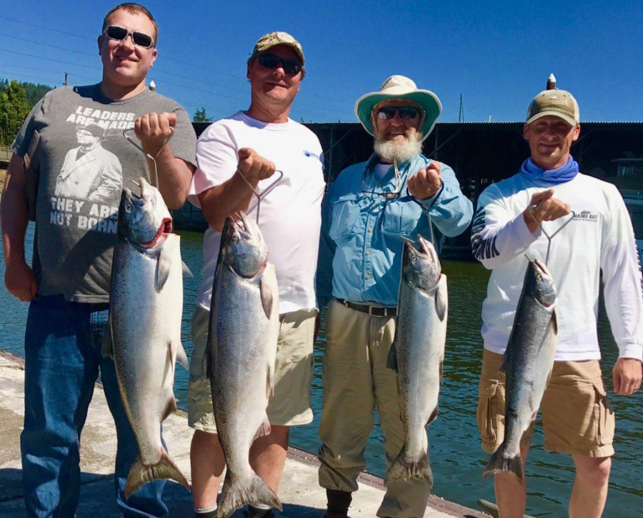 Steelhead shots  Salmon Fishing Forum