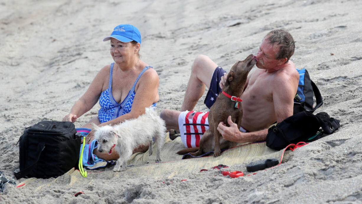 Dogs are not allowed on every beach in South Florida.