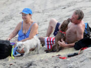 Dogs are not allowed on every beach in South Florida.