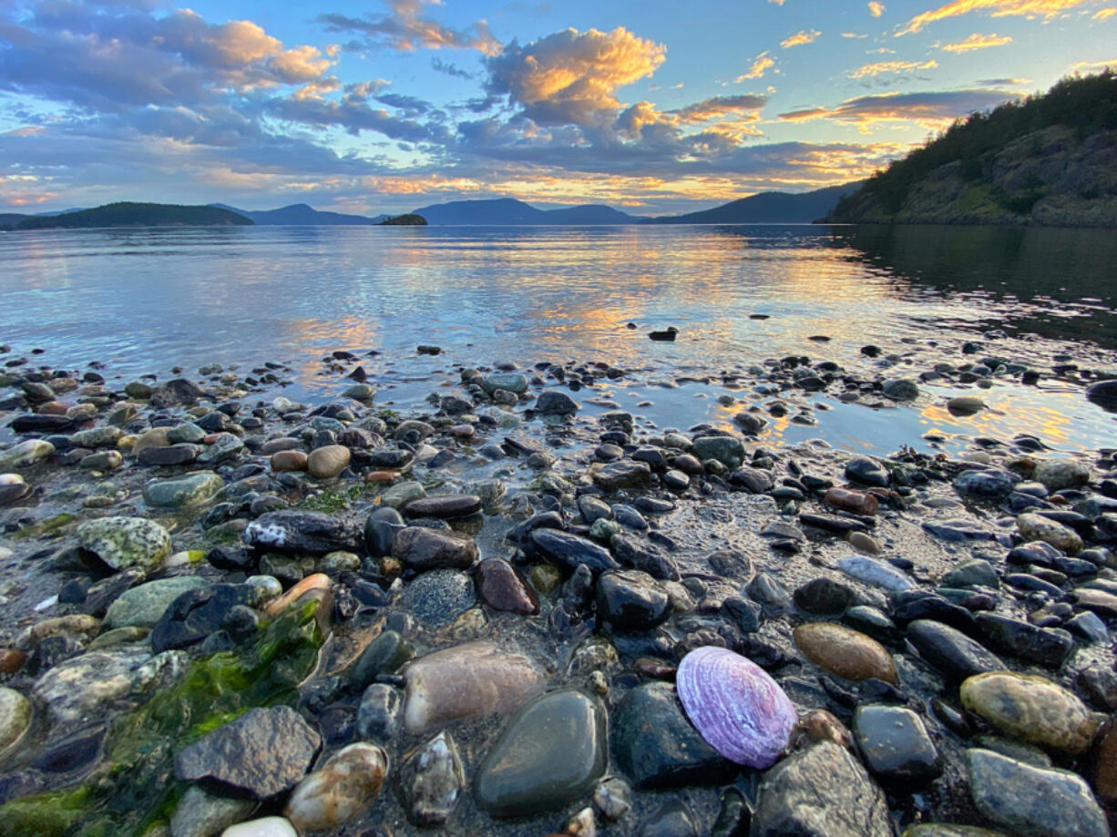 The Salish Sea provides habitat for a variety of marine species, including sharks.