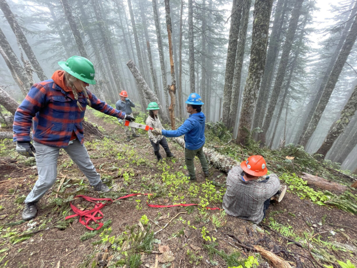 Washington Trails Association volunteers prepare to "boots and butts," an organizational term for pushing fallen logs with one's legs.