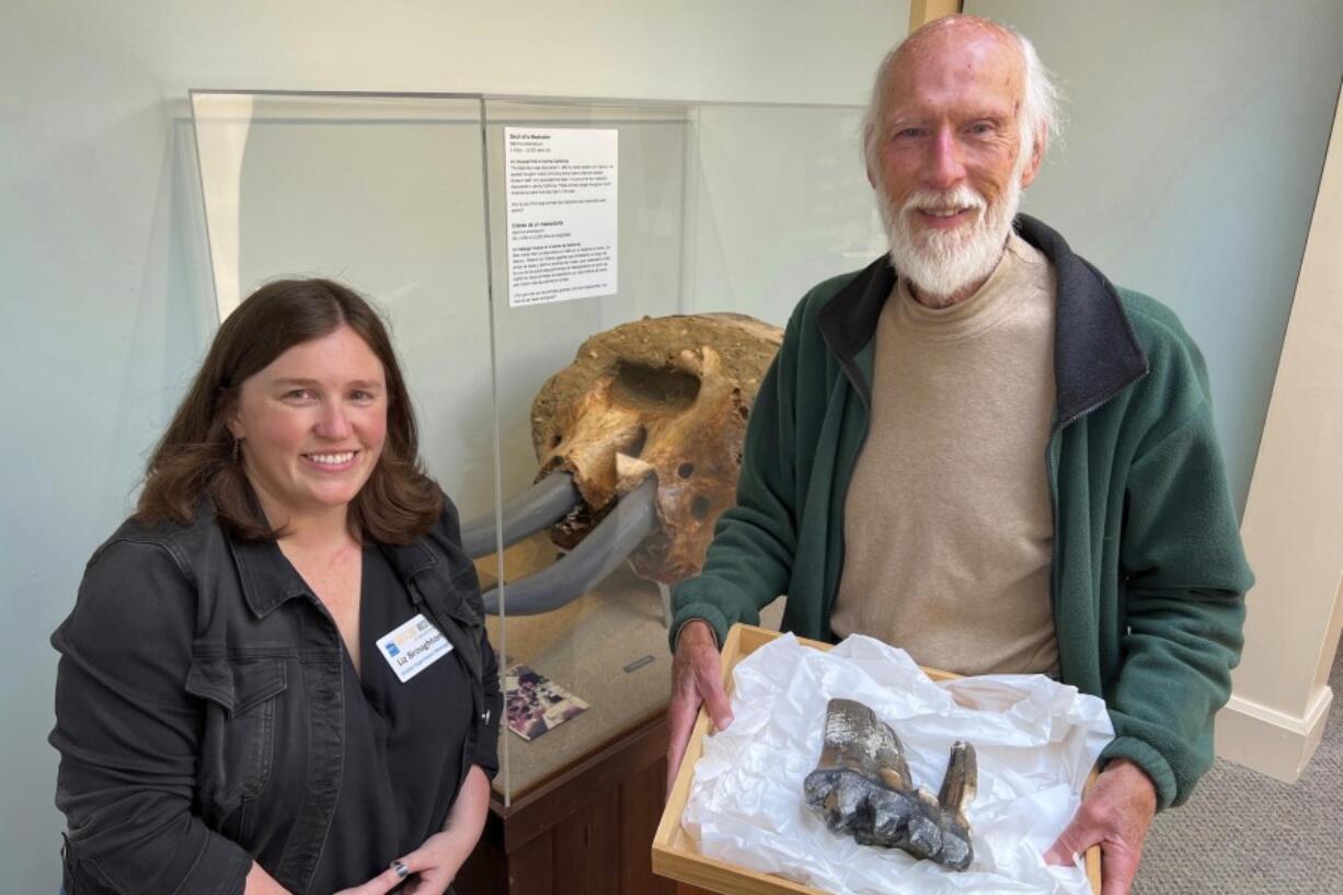 Santa Cruz Museum of Natural History Visitor Experience Manager Liz Broughton, left, and Jim Smith, who holds a mastodon tooth May 30 at the museum in Santa Cruz, Calif. Smith, who had seen the news about the tooth, called the museum and reported he had stumbled upon it at the mouth of Aptos Creek on Rio Del Mar State Beach, located off Monterey Bay in Santa Cruz County.