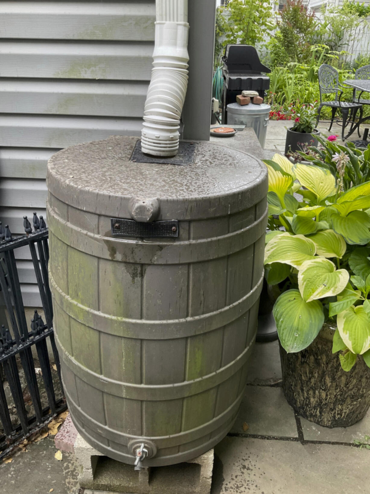 This image provided by Deborah Martin shows a rain barrel connected to a downspout in a garden on June 16, 2023, in Rockville Centre, N.Y.