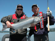 The preseason forecast for upper Columbia summer Chinook at the mouth of the Columbia River is  85,400 compared to a return of 78,494 in 2022.