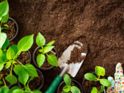 Researchers are looking at everything from plant breeding to tech to prime landscapes for ways to reduce future water usage.