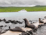 The best time to visit Galapagos Islands is from June to December during the dry season.