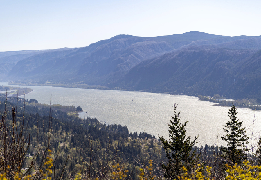 The big problem in the Columbia River no one is talking about