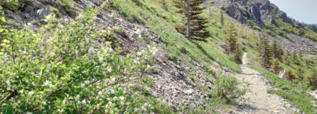 Pyramid Rock rises alongside the Grouse Vista Trail.