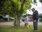 Get To-Gather Farm owner John Spencer, left, prunes a pear tree while Joe Beaudoin offers advice.