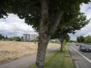 Drivers pass vacant land along Southeast Mill Plain Boulevard in the Columbia Tech Center area that is slated for a 40,400-square-foot 1-story office building.