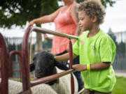 Zachariah Colston, right, pets a sheep during a recent field day at Educational Opportunities for Children and Families on MacArthur Boulevard.