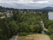 Homes in Lacamas Shores, left, are visible through the neighborhood's overgrown biofilter near Lacamas Lake, right.