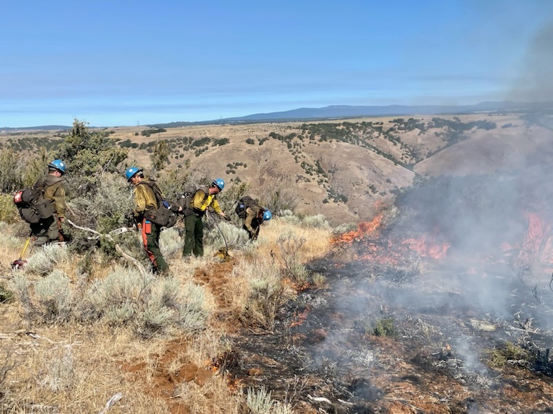 Firefighters battle the Newell Road fire in Klickitat County. The wildfire started July 21 and has burned nearly 60,000 acres.