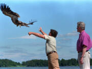 FILE - President Bill Clinton, right, watches as a young American Bald Eagle named Freedom is released into the wild along the shores of the Chesapeake Bay by U.S. Fish and Wildlife Biologist Craig Koppe during an Independence Day ceremony at Patuxent Naval Air Station, Md., July 4, 1996.