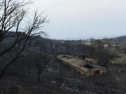 A view of a burnt house and forest, in Bouira, 100 km from Algiers, Algeria, Monday, July 24, 2023. Wildfires raging across Algeria have killed at least 25 people, including soldiers trying to get the flames under control in the face of high winds and scorching summer temperatures, government ministries said Monday.