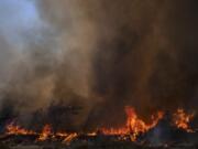 Flames burn a forest during a wildfire in Vati village, on the Aegean Sea island of Rhodes, southeastern Greece, on Tuesday, July 25, 2023. A third successive heat wave in Greece pushed temperatures back above 40 degrees Celsius (104 degrees Fahrenheit) across parts of the country Tuesday following more nighttime evacuations from fires that have raged out of control for days.