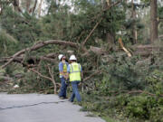 Utility crews survey damage caused by a tornado on Wednesday, July 19, 2023, on Town Hall Rd., in Dortches, N.C.