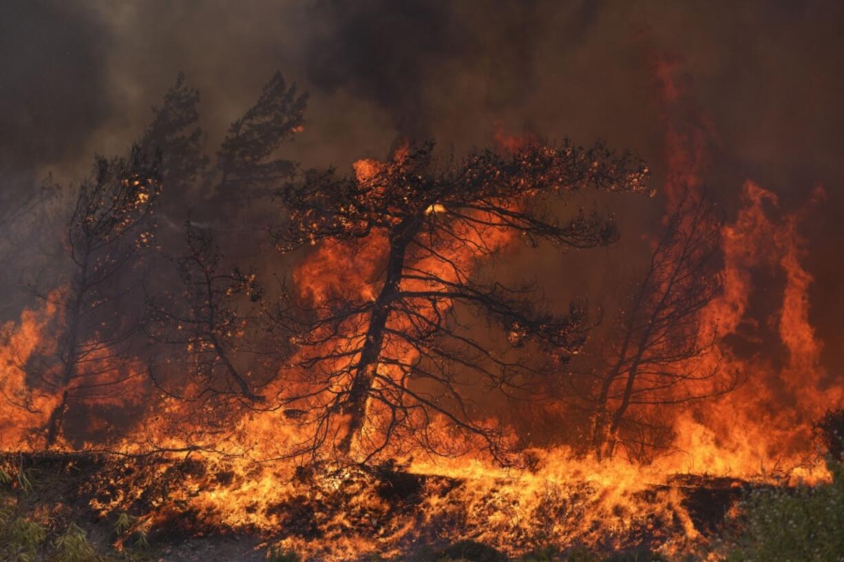 Flames burn a forest in Vati village, on the Aegean Sea island of Rhodes, southeastern Greece, on Tuesday, July 25, 2023. A third successive heat wave in Greece pushed temperatures back above 40 degrees Celsius (104 degrees Fahrenheit) across parts of the country Tuesday following more nighttime evacuations from fires that have raged out of control for days.