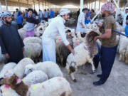 Vendors display sheep for customers at a cattle market ahead of the Eid al-Adha festival, in Baghdad, Iraq, Tuesday, June. 27, 2023.