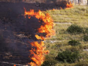 Flames burn in a field in Capaci, near Palermo, in Sicily, southern Italy, Wednesday, July 26, 2023. On the island of Sicily, two people were found dead Tuesday in a home burned by a wildfire that temporarily shut down Palermo's international airport, according to Italian news reports. Regional officials said 55 fires were active on Sicily, amid temperatures in the 40s Celsius.