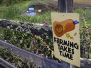 Flood waters remain on destroyed fields, at rear, as a sign informs visitors that "Farming Takes Time" at the Intervale Community Farm, following last week's flooding and this week's rains, Monday, July 17, 2023, in Burlington, Vt.