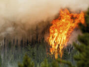 Flames from the Donnie Creek wildfire burn Sunday along a ridgetop north of Fort St. John, B.C.