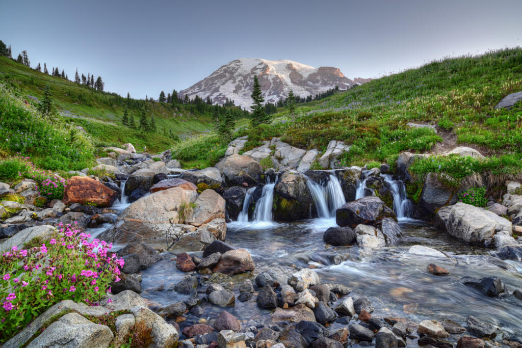 When people in the Northwest say the "mountain is out," frequently they are referring to nice weather near Mount Rainier.