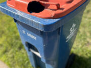 It's not uncommon to find plastic curbside bins chewed through by aggressive squirrels.