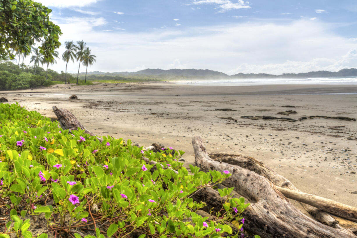 A misty morning at Playa Guiones in Nosara, Costa Rica.