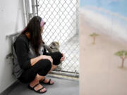 Eve, a female Macaque, searches for treats in Bonnie Gallegos' hair and shirt at OPR Coastal Primate Sanctuary. Gallegos will often hide treats in the cuff of her sleeve for the monkey to search for.