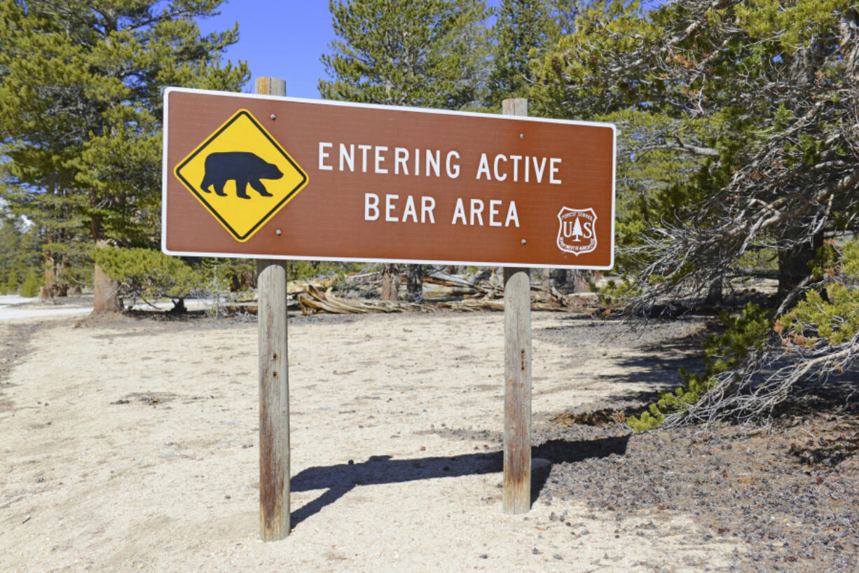 A bear sign in the recreation area in the mountains.