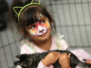 Esmerelda Ortega, 3, from Kirkland, holds a 9-week-old kitten that is up for adoption Aug. 12 at the Seattle Humane booth at the Sea-Meow Convention at the Seattle Center Exhibition Hall in Seattle.