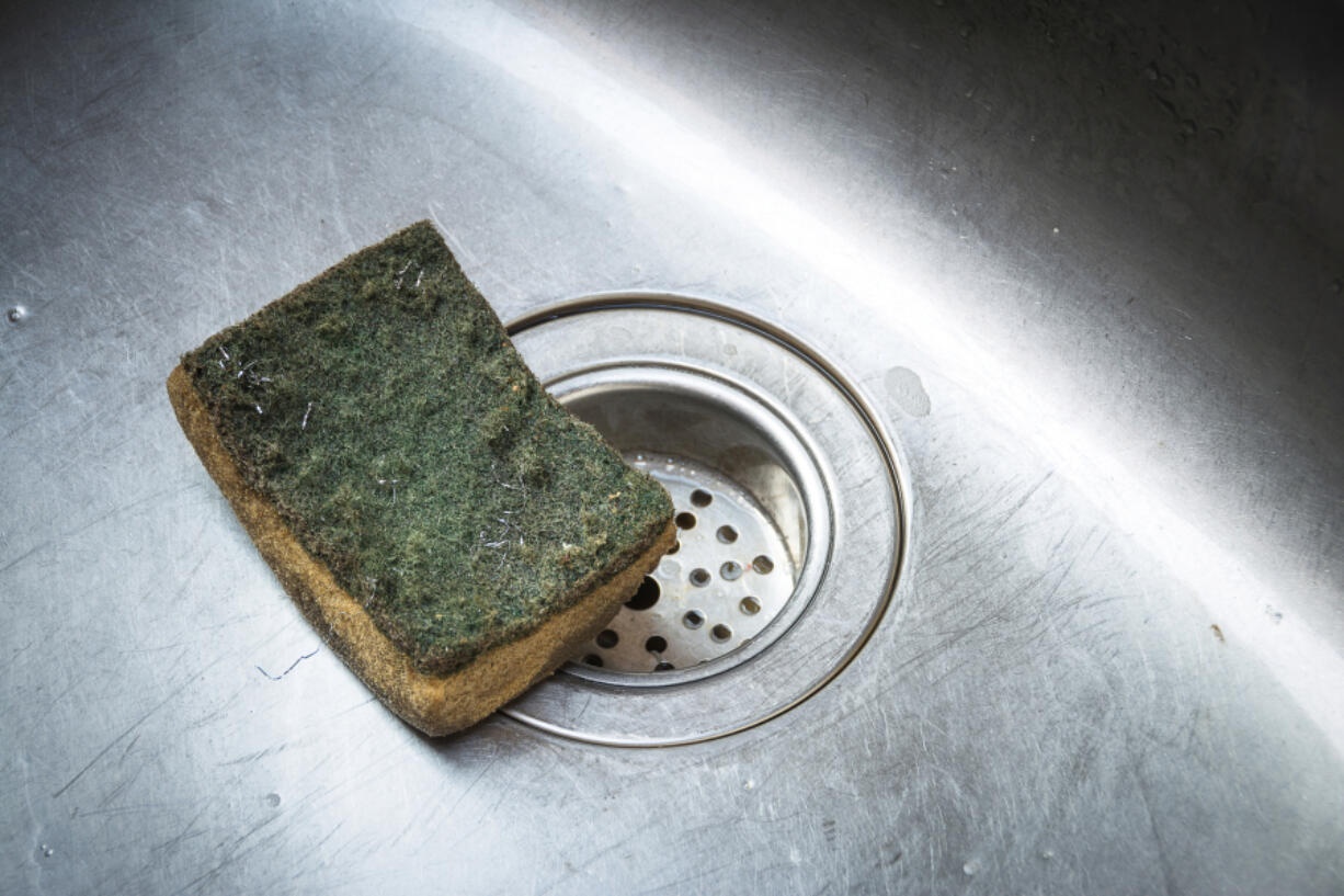 According to a 2019 study, a typical kitchen sponge is dirtier than most toilets.