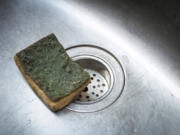 According to a 2019 study, a typical kitchen sponge is dirtier than most toilets.