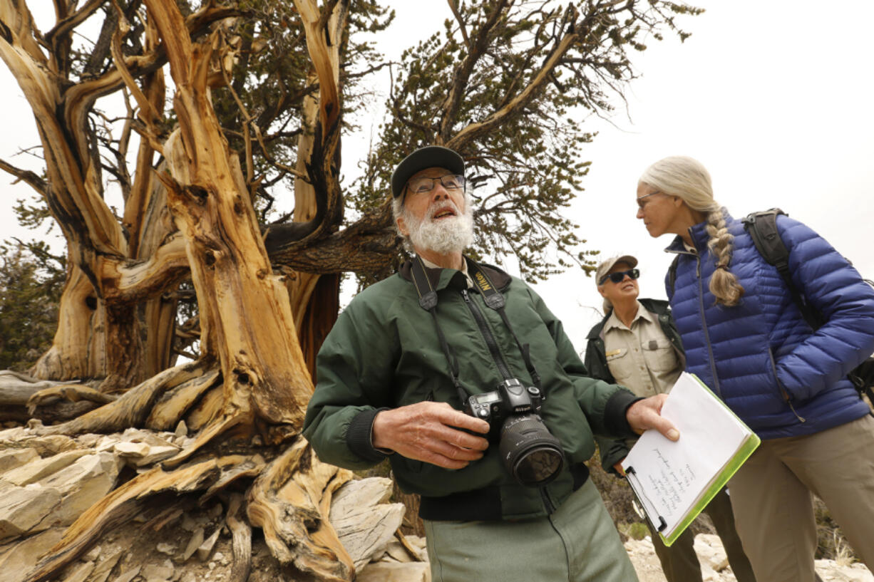 At Ancient Bristlecone Pine Forest in Inyo County, U.S. Forest Service pathologist Martin McKenzie, left, evaluates ailing trees with ecologist Michele Slaton, right, and Forest Service spokeswoman Mary Matlick in June 2022.