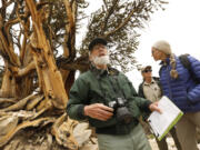 At Ancient Bristlecone Pine Forest in Inyo County, U.S. Forest Service pathologist Martin McKenzie, left, evaluates ailing trees with ecologist Michele Slaton, right, and Forest Service spokeswoman Mary Matlick in June 2022.